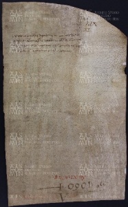 59 B.16.LIXv, Promessa fatta da Giselberga a favore di Ingone vescovo, Vignola, [1030-1031, gen. 26]